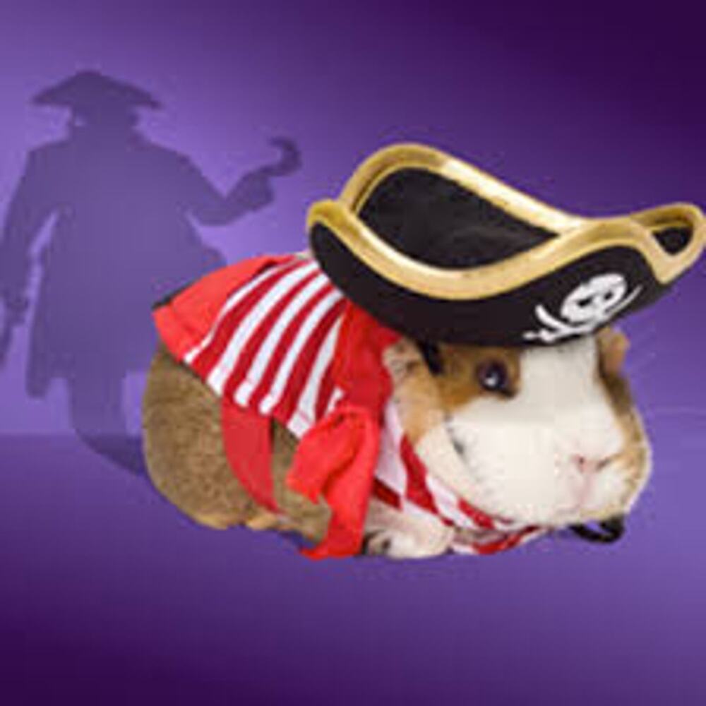 New Bootique by Petco Small Pet Pirate Costume Guinea Pig Halloween